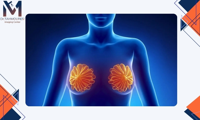 تفاوت سفتی خوش‌خیم و بدخیم