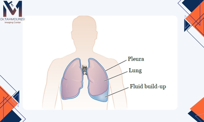 نقش تصویربرداری